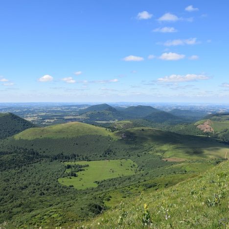 Que dites-vous d’un safari au Kenya ? Voici quelques conseils